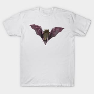 Bat T-Shirt